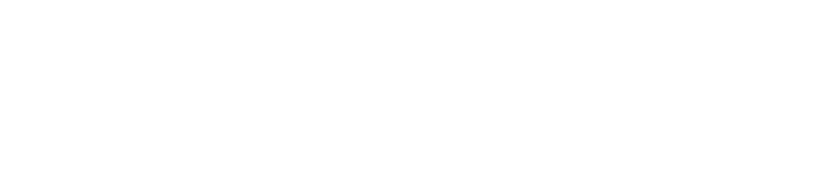 Shri Finserv